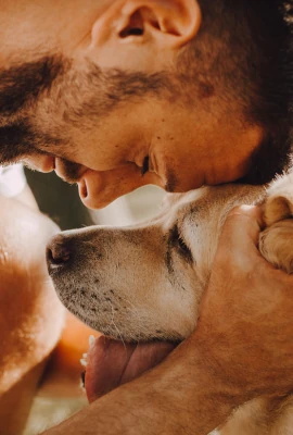 ASSAÍ AMPLIA CARDÁPIO DE SERVIÇOS E PASSA A OFERECER PLANO DE SAÚDE E ASSISTÊNCIA VETERINÁRIA A ANIMAIS DE ESTIMAÇÃO 