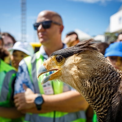  Tour ambiental e programa de conscientização são atrações da Semana do Meio Ambiente do Salvador Bahia Airport 