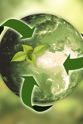 Como as empresas podem incorporar a sustentabilidade no seu dia a dia? Especialista explica