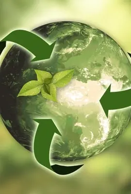 Como as empresas podem incorporar a sustentabilidade no seu dia a dia? Especialista explica