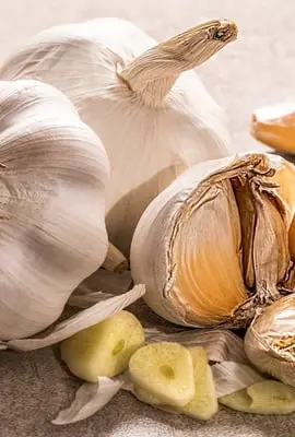 É fato ou fake? Especialista destaca mitos e verdades sobre alimentação e coronavírus 