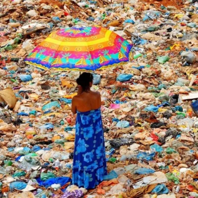 Meio ambiente: Embaixada dos EUA promove exibição fotográfica sobre o tema em Salvador