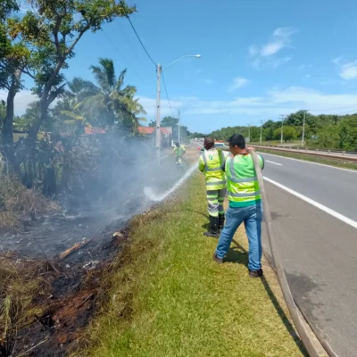 Em 10 semanas, CLN registra 51 casos de queimadas às margens da rodovia