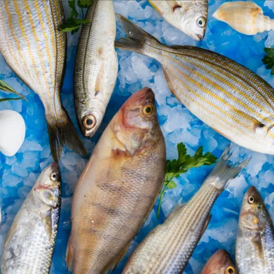 Da aparência à textura: nutricionista explica como escolher o peixe para o almoço da Semana Santa 